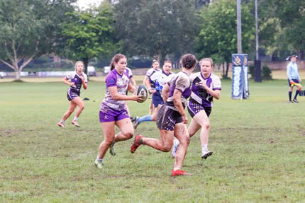7s Gallery