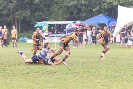 7s Gallery