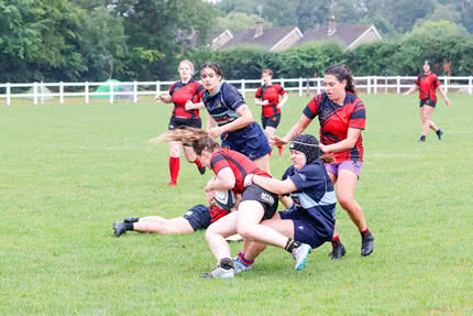 7s Gallery